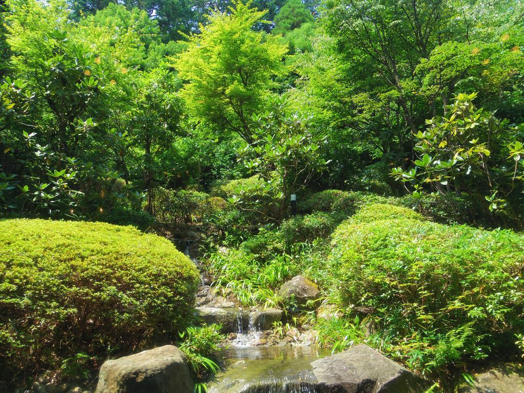 Отель Hakone Gora Onsen Yumenoyu Экстерьер фото